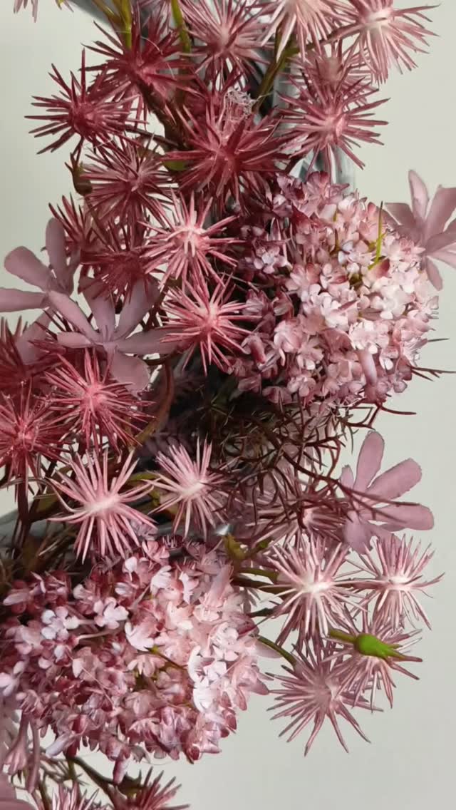 Detale 🌸 
Słowa są zbędne - ta kompozycja kwiatowa jest po prostu wyjątkowa 🩷

#wianki #wianeknadrzwi #wystrojwnetrz #prezentdlaniej #wianekzkwiatów