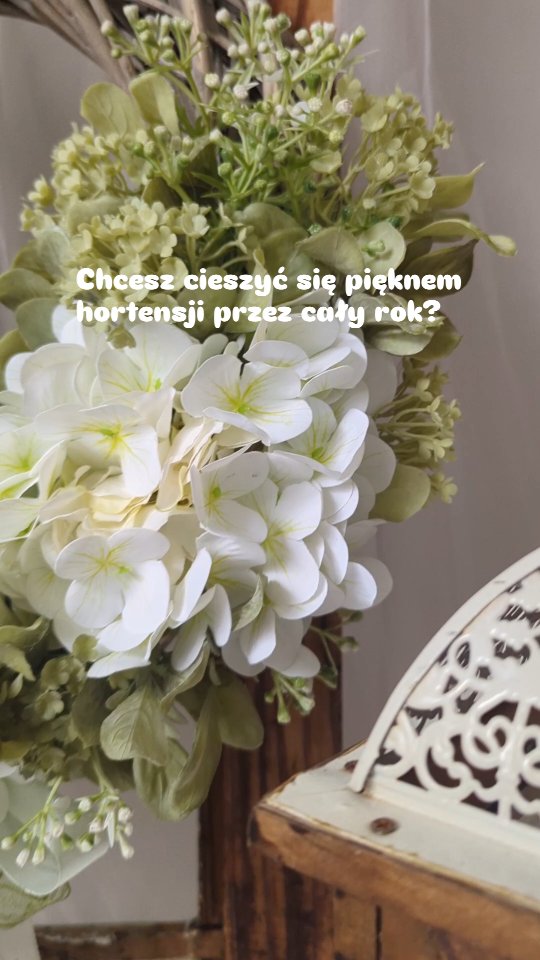 Jeśli kochasz hortensje i chciałabyś cieszyć się ich widokiem przez cały rok...
👉 Zamów wianek ze sztucznych hortensji klasy PREMIUM - wyglądają naprawdę obłędnie i do złudzenia przypominają naturalne kwiaty 💚🤍

❇️ Średnica wianka ok. 40cm
❇️ Cena 169zł
❇️ Wysyłka na cały kraj 

Napisz DM lub wejdź do sklepu on-line (link w bio)

#wianki #dekoracjedomu #hortensjowelove #hortensja #hortensje #zielonedodatki #ZielonaElegancja #dodatkidownętrz #aranżacjadomu #wreathdecor #kränze #kranz #hydrangeas #WianekNaDrzwi #letniwianek